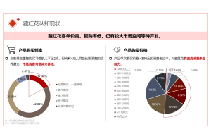  增程器市场调研J9九游老哥俱乐部案例